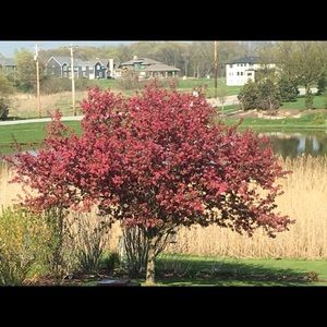 Meet your Posher, Debra